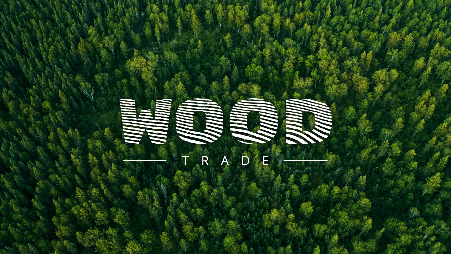 Разработка интернет-магазина компании «Wood Trade» в Кяхте